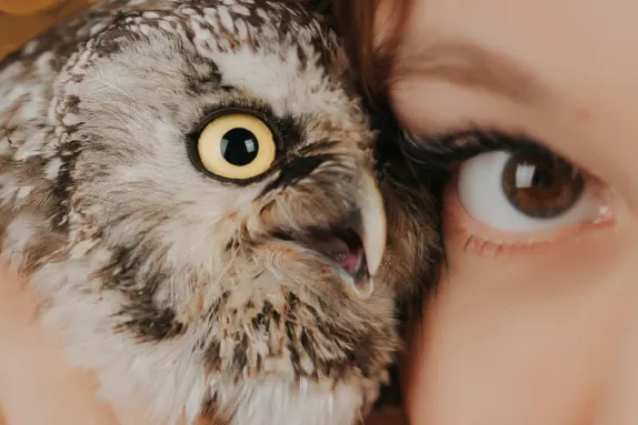 Casino MR Fortune Support